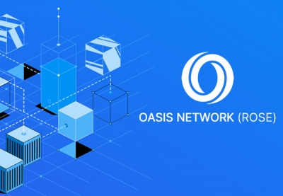 آموزش اتصال لجر به ارز Oasis Network (Rose)